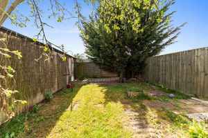 Photo 40- click for photo gallery